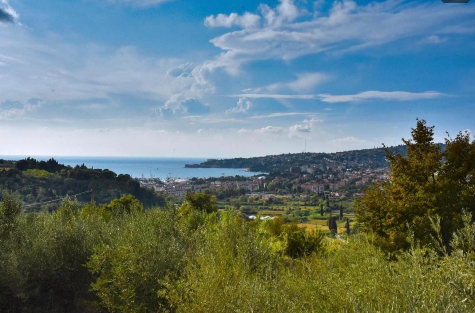 Apartma Med Oljkami Spodnji Portoroz Luaran gambar